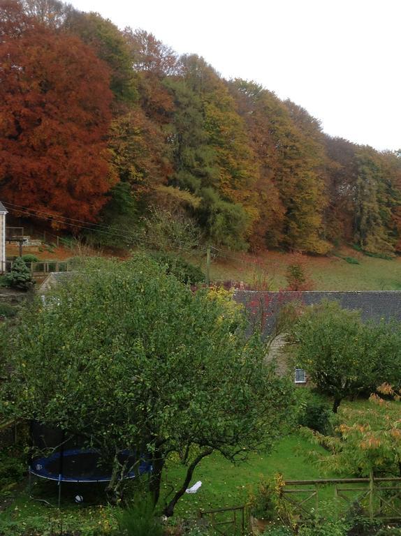 Dove Cottage Bisley  Bagian luar foto