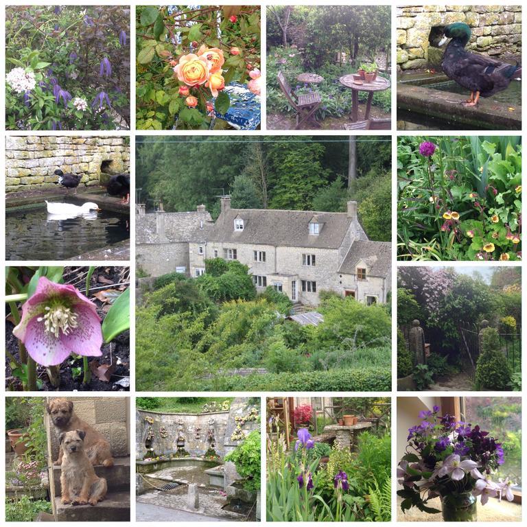 Dove Cottage Bisley  Bagian luar foto