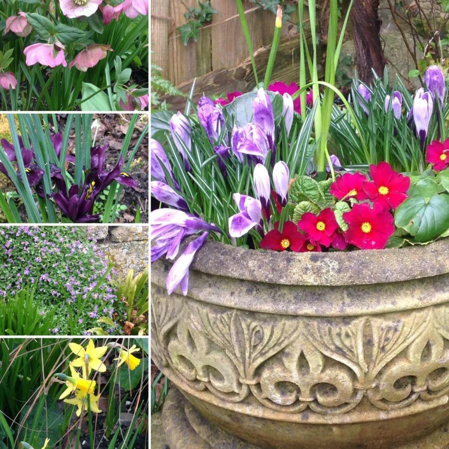 Dove Cottage Bisley  Bagian luar foto